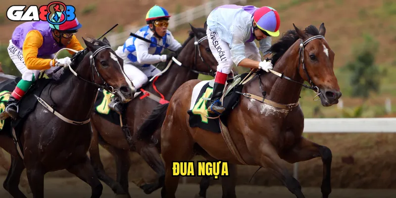 Đua Ngựa