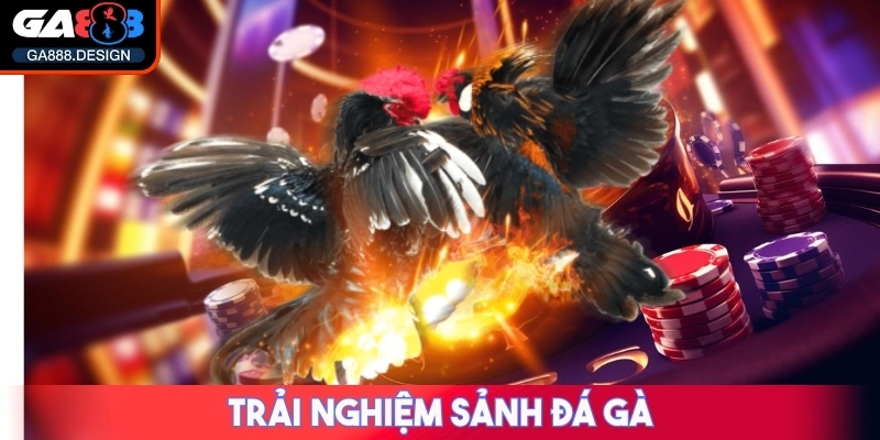 GA888 🌟 Link Trang Chủ Nhà Cái GA 888 Casino 【09/2025】 34 Trải nghiệm sảnh Đá Gà