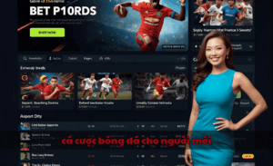 cá cược bóng đá cho người mới