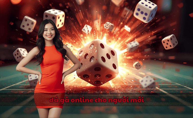 đá gà online cho người mới