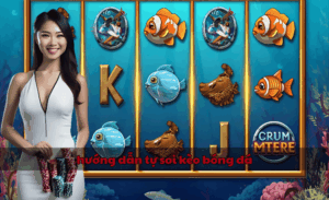 tự soi kèo bóng đá